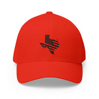 Texas Logo Cap - Closed Back