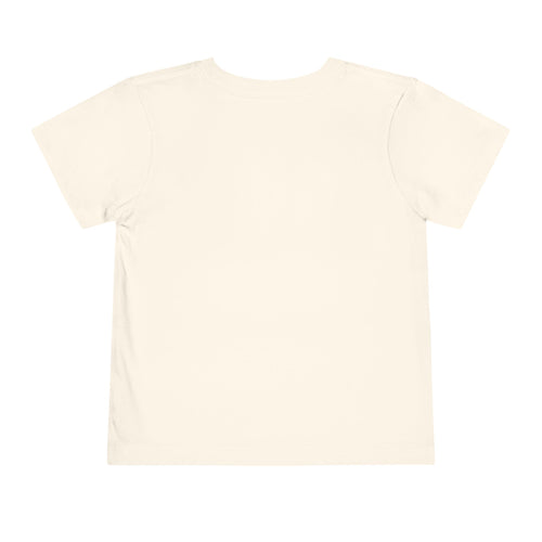 Toddler 250 yr United States of America Anniversay Tee - Celebrate America's 250th Birthday
